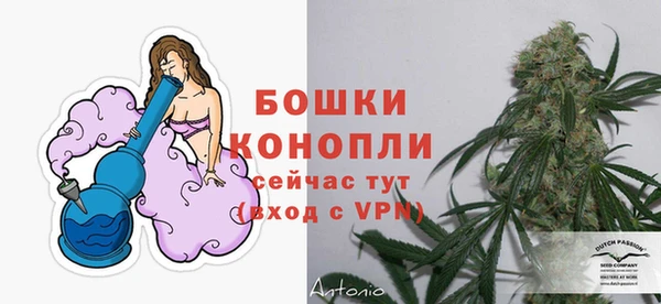 индика Долгопрудный