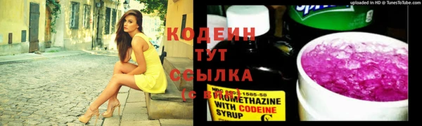 сатива Коряжма