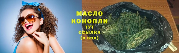 сатива Коряжма