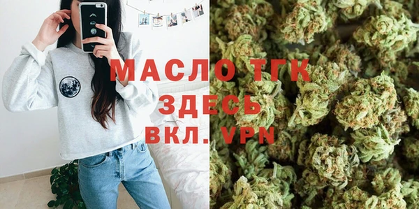 сатива Коряжма