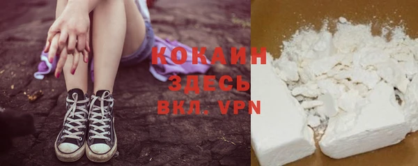 сатива Коряжма