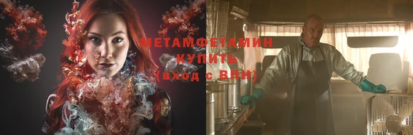 индика Долгопрудный