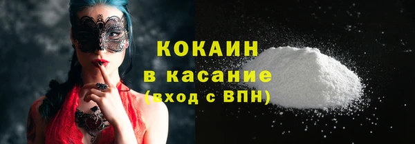 сатива Коряжма