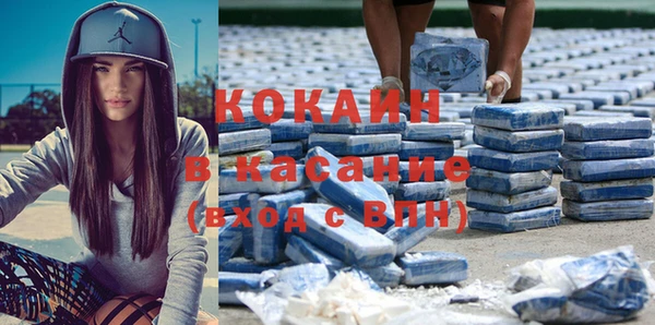 сатива Коряжма