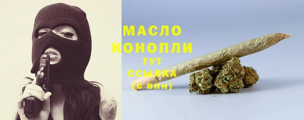 сатива Коряжма