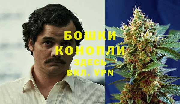 сатива Коряжма