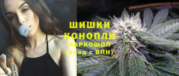 сатива Коряжма