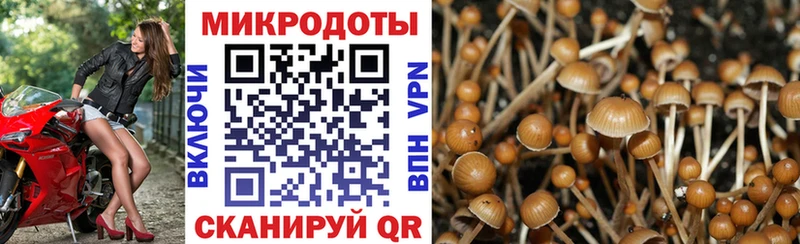 Псилоцибиновые грибы ЛСД  как найти закладки  МЕГА онион  Мамоново 