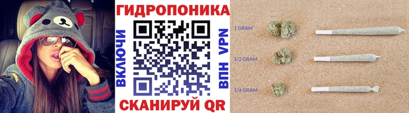Бошки марихуана индика  hydra онион  Мамоново 